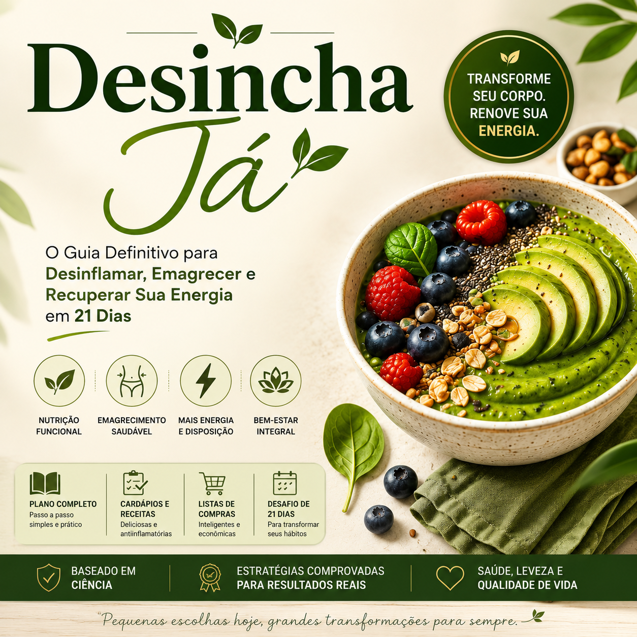 Desincha Já! - Guia